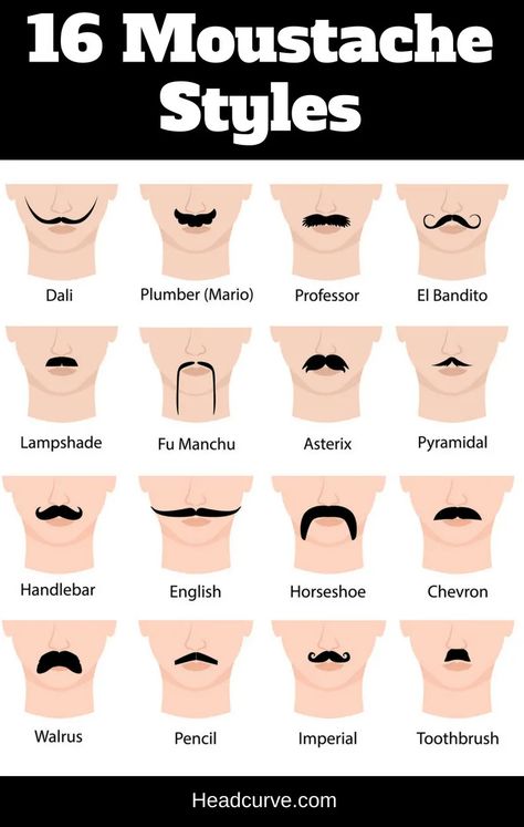 16 Moustache Styles and Names (Chart and Illustrations) Pencil Mustache, Types Of Mustaches, Horseshoe Mustache, Thick Mustaches, Mustache Shapes, Types Of Facial Hair, Moustache Style, Beards And Mustaches, Beard And Mustache Styles