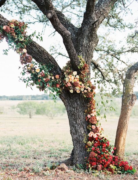 Bohemian Fall Wedding in Texas Hill Country: Caitlin + Brandon - Part 2 | Green Wedding Shoes Oak Tree Wedding Ceremony, Tree Wedding Ceremony, Oak Tree Wedding, Fall Wedding Arches, Rustic Wedding Decorations, Outdoor Fall Wedding, Wedding Ceremony Flowers, Wedding Palette, Ceremony Flowers