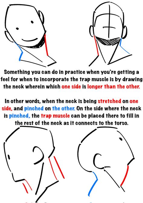 EmilioDekure on Twitter: "Notes for drawing the neck. 😊… " 얼굴 드로잉, Anatomy Tutorial, Art Advice, Drawing Face, Human Anatomy Drawing, 얼굴 그리기, Human Anatomy Art, Body Reference Drawing, Gesture Drawing