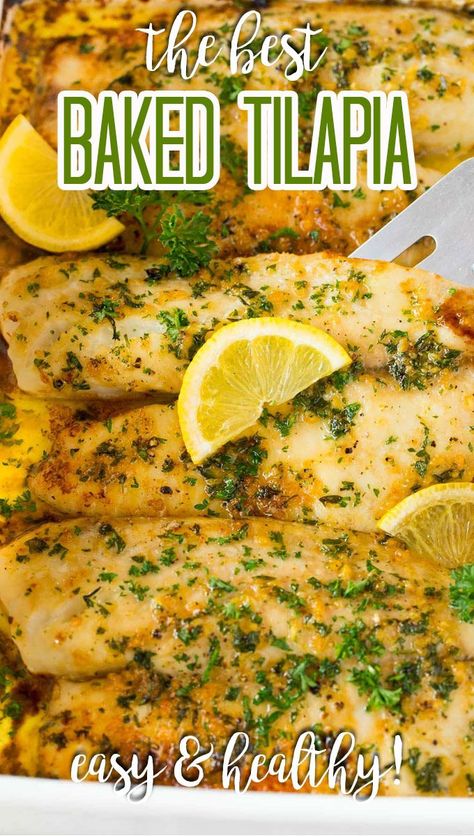 Baked Talipia, Tilapia Seasoning, Baked Tilapia Recipes, Baked Tilapia, Super Easy Dinner, Tilapia Recipes, Easy Seafood, Fish Recipes Healthy, Fast Easy Meals