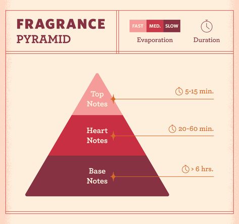 Top, Heart, Base - What Does It All Mean?! Essential Oil Perfumes Recipes, Perfume Notes, Fragrance Lab, Perfume Recipes, Perfume Collection Fragrance, Perfume Scents, Perfume And Cologne, Best Fragrances, Essential Oil Perfume