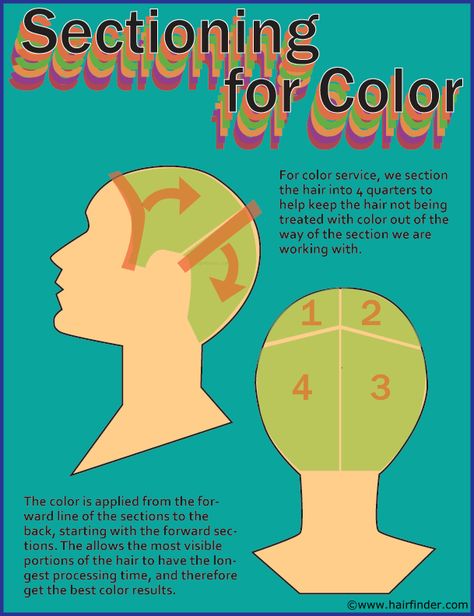 How To Section Hair For Coloring, Section Hair For Color, Sectioning Hair For Color, How To Section Hair, Hair Dye Sectioning, Hair Sectioning Techniques, How To Section Hair For Highlights, Cosmetology Notes, Hair Diagram