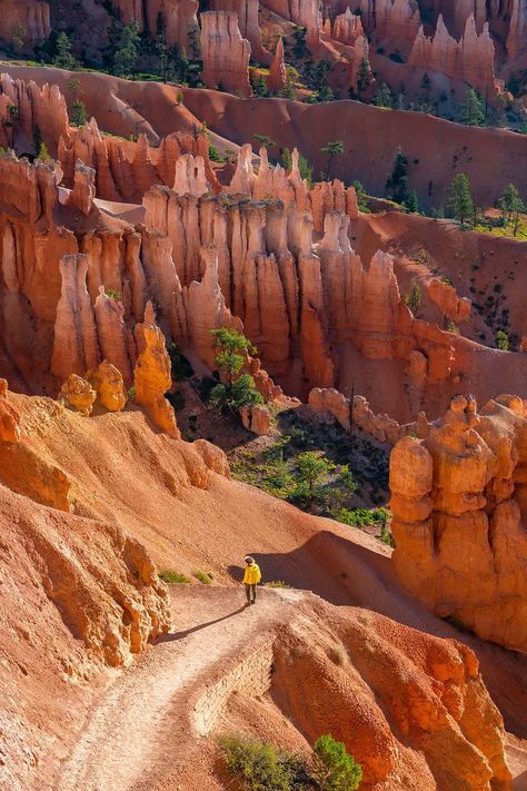 Bryce Canyon Hikes, Southwest Travel, Utah Vacation, Utah Road Trip, Canada Road Trip, National Park Photos, Bryce Canyon National Park, National Parks Usa, Utah National Parks