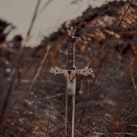 Baratheon Aesthetic, Tiefling Paladin, Dnd Cleric, Medieval Aesthetic, Fairytale Photography, Dragon Knight, Fantasy Novel, Fantasy Aesthetic, Throne Of Glass