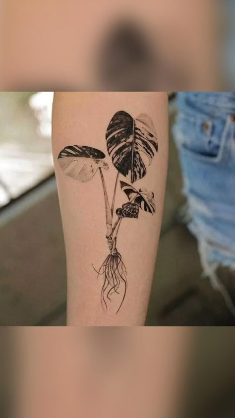 Monstera Deliciosa Tattoo, Monstera Tattoo, Cover Up Tattoos For Women, Roots Tattoo, Plant Tattoo, Botanical Tattoo, Cover Up Tattoos, Nature Tattoos, Dope Tattoos