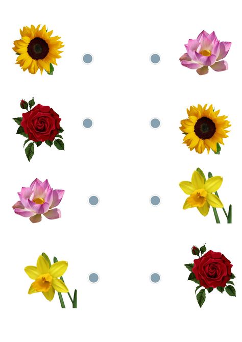 Flowers Worksheets For Kids, Flower Worksheets Preschool, Flowers Worksheet, Flower Worksheet, Flowers Activity, Worksheets For Playgroup, Evs Worksheet, Cursive Small Letters, Flower Activity