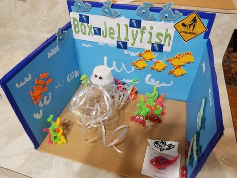 Box jellyfish Diorama. Science project for 1st graders Jellyfish School Project, Jellyfish Diorama, Habitat Diorama, Ocean Diorama, Box Jellyfish, Diorama Kids, Science Project, School Project, Science Projects