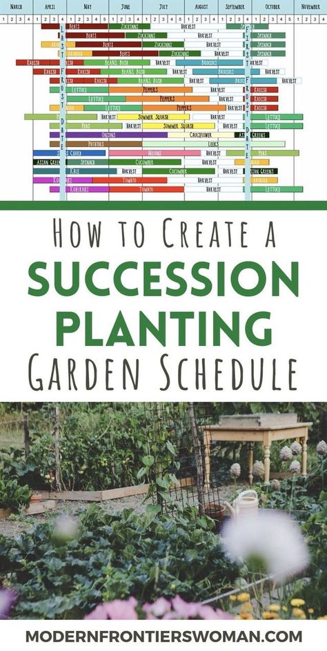 Garden Schedule, Planting Schedule, Planting Garden, Succession Planting, Future Garden, Veg Garden, Home Vegetable Garden, Vegetable Gardens, Vegetable Garden Design