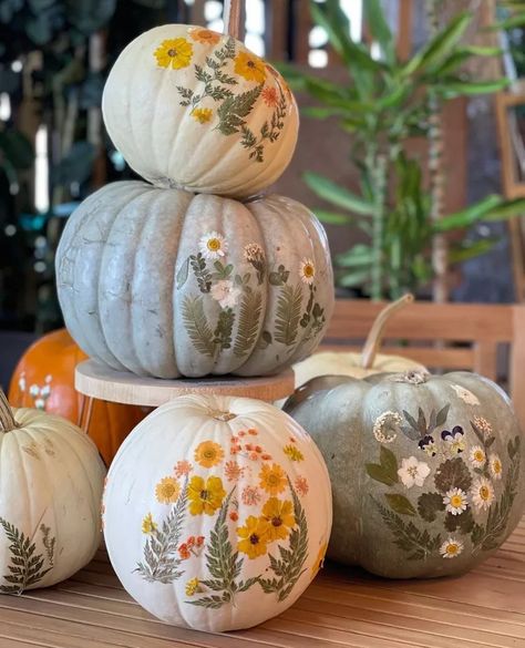 Cute Painted Pumpkin Ideas, Fall Pumpkins Painting, Diy Fall Decor Ideas, Craft Pumpkins, Diy Fall Decor, Classy Halloween, Fall Decorating Ideas, Halloween Pumpkin Designs, Pumpkin Flower