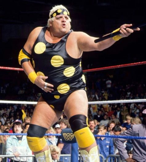 Nwa Wrestling, Wwf Superstars, Dusty Rhodes, Vintage Wrestling, Wwf Wrestling, Stephanie Mcmahon, Professional Wrestlers, Wrestling Stars, Wwe Legends