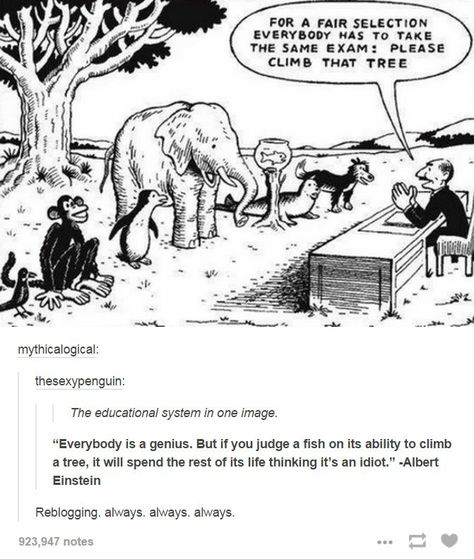 For a 'fair' selection everybody has to take the same exam: please climb that tree. #monkey #penguin #elephant #fish Einstein Quotes, Education System, Education Quotes, Albert Einstein, Reality Quotes, Wise Quotes, Satire, Great Quotes, Wisdom Quotes