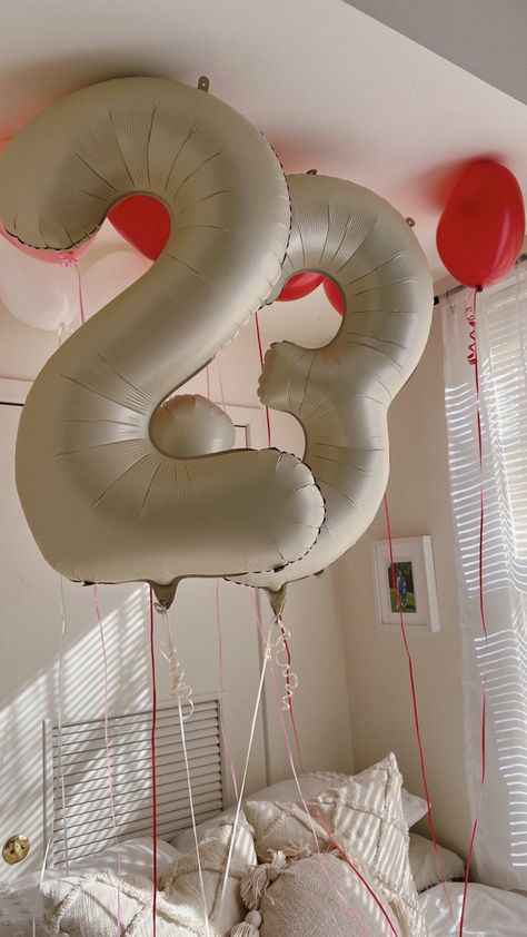 23 Balloons, 23 Birthday Balloons Decoration, 23 Birthday Decor, 24th Birthday Balloons, 23 Birthday Balloons, 22 Birthday Balloons, 23 Birthday Decorations, Dorm Birthday Decorations, 23 Birthday Ideas Decoration