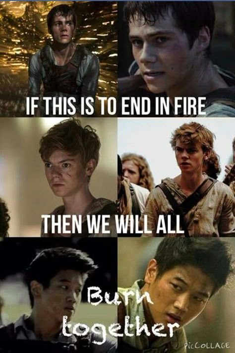 Maze Runner Wallpaper, The Ivy Trio, Maze Runner Newtmas, Maze Runner Quotes, Runner Wallpaper, Please Tommy Please, Ivy Trio, Maze Runner Scorch Trials, Runner Quotes