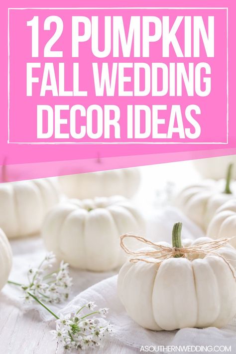 Make your big day feel extra festive and showcase your love for all things fall by decorating your fall wedding with pumpkins! We have the best ideas to incorporate wedding decor pumpkins seamlessly. #pumpkinwedding #weddingdecor #fallweddingideas #fallweddingdecor #fallweddingpumpkins #weddingdecorpumpkins #pumpkinweddingdecor #fallweddings #uniqueweddingdecor #uniquefallweddings #fallweddingspumpkinideas Wedding Decor Pumpkins, Fall Wedding With Pumpkins, Wedding With Pumpkins, Wedding Reception Activities, Decor Pumpkins, Fall Wedding Color Palette, Unique Wedding Receptions, Pumpkin Wedding, All Things Fall