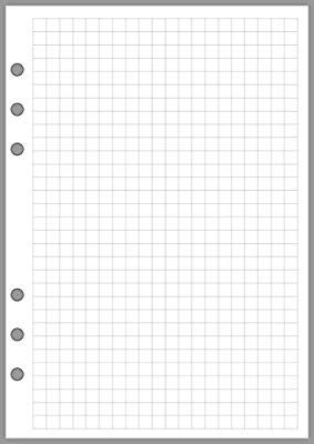 Amazon.com : A5 Size Graph Paper Refill, Sized and Punched 6-Ring A5 Notebooks by Filofax, Mulberry, Kikki K, TMI, and others. Sheet Size 5.83" x 8.27" (148mm x 210mm) : Office Products A5 Size Paper, Lettering Art, Hand Lettering Art, Memo Pads, A5 Notebook, Kikki K, Graph Paper, Sheet Sizes, Memo Pad