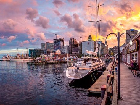 Halifax Waterfront - Picture of Nova Scotia, Canada - TripAdvisor Nova Scotia Travel, Halifax Canada, Newfoundland Travel, Canada Pictures, Summer Vision, Canada Holiday, East Coast Road Trip, Canada Photography, Travel Oklahoma