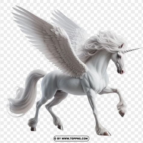 Horse With Wings, Unicorn Wings, Winged Horse, Unicorn Horse, Horse Animal, White Unicorn, Feather Wings, Mythological Creatures, Background Png