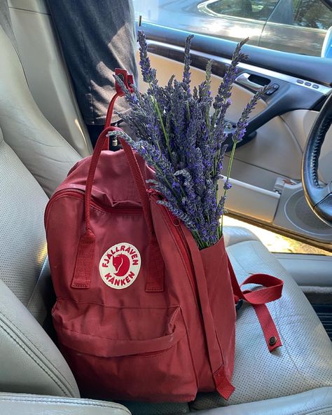 Ox Red Kanken, Kan Ken Backpack, Red Backpack Aesthetic, Fjallraven Kanken Backpack Aesthetic, School Backpacks Aesthetic, Kanken Backpack Aesthetic, Vacay Photos, Fjallraven Jacket, Kanken Bag