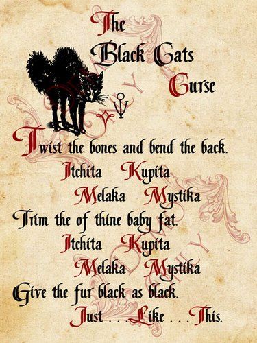 Black cats curse page - spell from Hocus Pocus | Halloween Forum Hermanas Sanderson, Hocus Pocus Spell, Halloween Spell Book, Hocus Pocus Spell Book, Hocus Pocus Party, Halloween Spells, Book Of Spells, Halloween Forum, Halloween Hocus Pocus