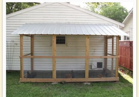 Chicken Coop Attached To Garage, Lean To Chicken Coop, Canning Station, Urban Chicken, Urban Chicken Farming, Best Egg Laying Chickens, Egg Laying Chickens, Chicken Coop Run, Poultry Supplies