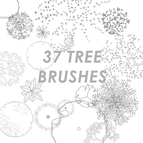 Minimalist top view tree and grass brushes - Commercial Landscape Architecture Rendering, Tree Plan Photoshop, Texture Architecture, Photoshop Landscape, Landscape Architecture Plan, Minimalist Top, Tree Plan, Vector Trees, Architecture Concept Drawings