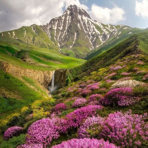 Alamut Castle, Nature Of Iran, Countries Around The World, Meme Pictures, New Memes, Art And Architecture, Beautiful Images, Daily Dose, Iran