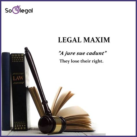 #legal #maxim #legalmaxim #law #lawyers #advocate #LegalMaximoftheday Legal Maxims, Studies Aesthetic, Government Lessons, Law School Prep, Logistics Design, Legal Studies, Law Notes, Law School Life, Law School Inspiration