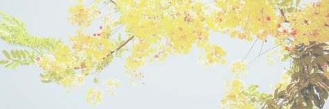 Corgi Wallpaper, Tumblr Outline, Flower Header, Pink Twitter, 트위터 헤더, Photo Bleu, Yellow Aesthetic Pastel, Aesthetic Header, Header Tumblr