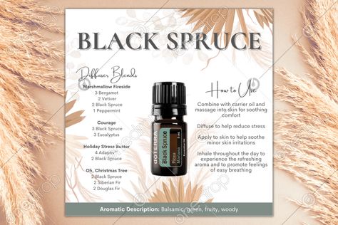 Black Spruce Diffuser Blends, Black Spruce, Doterra Wellness Advocate, Diffuser Blends, Carrier Oils, Cool Items, Doterra, Irritated Skin, Social Media Post