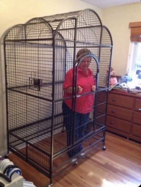 grandma lock in a cage On Twitter, Twitter