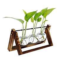 Check this out at Amazon Desktop Planter, Indoor Hydroponics, Apt Decor, Bulb Vase, Garden Vases, Terrarium Containers, Hydroponic Plants, Glass Planter, Plant Vase