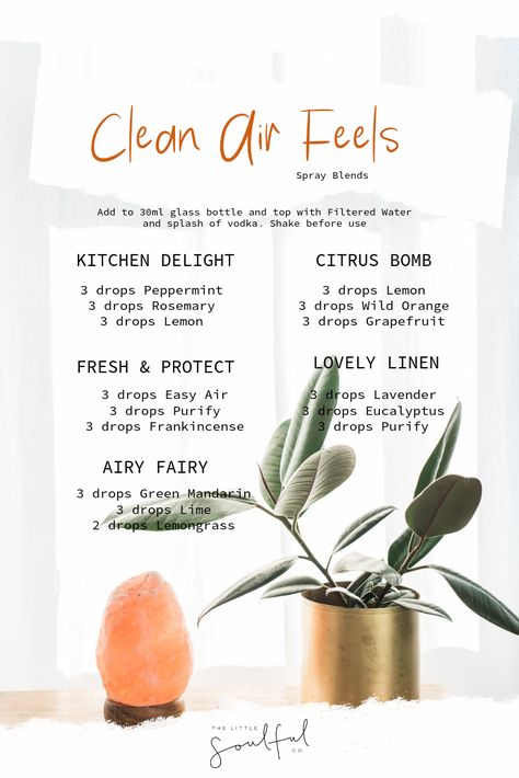 Air Cleaning Diffuser Blend, Air Cleansing Diffuser Blend, Clean The Air Diffuser Blends, Fresh Air Diffuser Blend, Essential Oils For Clean Air, Diffuser Blends Clean Air, Clean Essential Oil Blends, Bathroom Essential Oil Blends, Fresh Clean Diffuser Blend