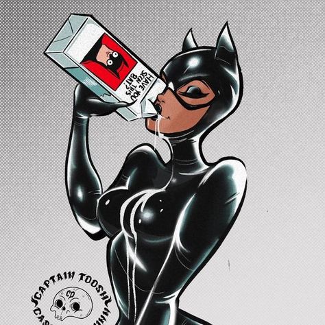 💀Cassandra Dunn Vertiz🌿 on Instagram: "Happy #caterday also have you seen this bat? #art #illustration #pinupart #catwoman #dc #pinup #cat #digitalillustration #procreate #batman" Dc Comics Catwoman, Cat Woman Pop Art, Black Cat Comic Art, Batman And Catwoman Art, Catwoman Pinup, Cat Woman Drawing, Catwoman Cartoon, Cat Woman Aesthetic, Catwoman Poster