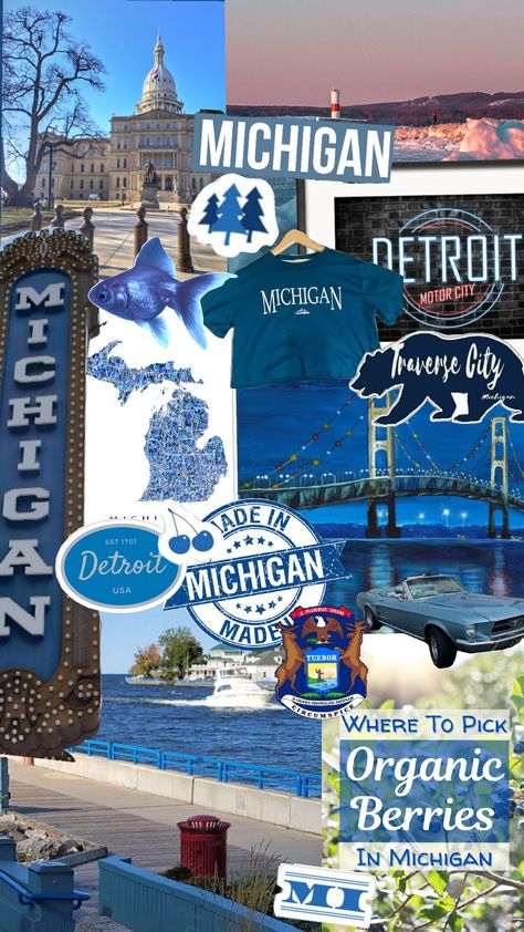 Michigan Michigan Wallpaper, Michigan Aesthetic, Detroit Usa, Saugatuck Michigan, Michigan Summer, Goal Board, Traverse City Michigan, Vision Board Goals, Michigan Travel