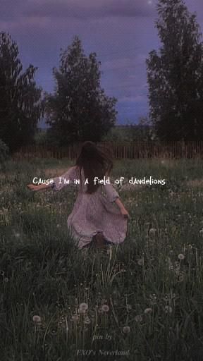 New Song English, Dandelions Lyrics Wallpapers, Dandelions Aesthetic Song, Wallpapers With Song Lyrics, Dandelions Song Wallpaper, English Music Aesthetic, One Of The Girls Lyrics, U And I Song Lyrics, Cute English Songs