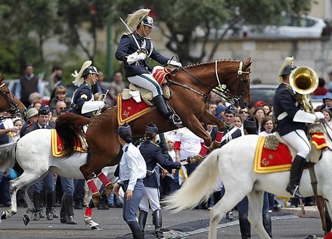 Now that's a parade! Horse Ownership, Speed Bump, Funny Horses, Award Winning Photography, Horse Fly, All About Horses, Fox Hunting, Majestic Horse, Horse Pictures