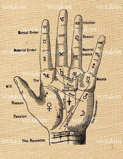 Fortune Teller Hand, Palmistry Hand, Alchemic Symbols, Alchemy Symbols, Magic Symbols, Symbols And Meanings, Palm Reading, Fortune Teller, Spells Witchcraft