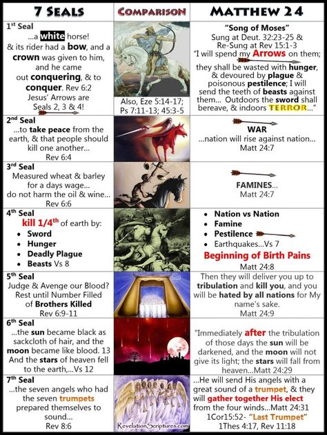 All 7 Seals of Revelation is Matthew 24 Comparison 7 Seals Of Revelation, Revelation Study, Bible Genealogy, Revelation Bible Study, Bible Timeline, Revelation Bible, The Book Of Revelation, Bible Topics, Bible Study Topics