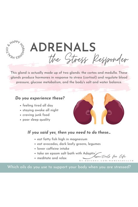 Brain Fog Remedies, Adrenal Medulla, Congenital Adrenal Hyperplasia, Flight Response, Endocrine Disorders, Adrenal Support, Body Aches, Hormonal Health, Adrenal Health