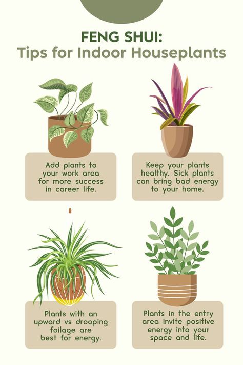 Best Plants For Home, Plant Witch, Best Air Purifying Plants, Indoor Vegetables, Inside Garden, Household Plants, Plant Care Houseplant, Gardening Hacks, Inside Plants