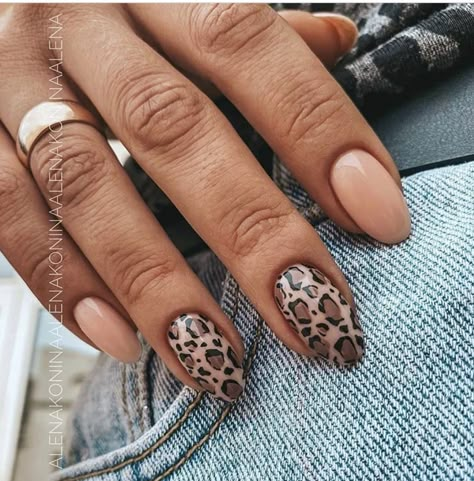 Leopard Nail Designs, Cheetah Nail Designs, Cheetah Nails, Leopard Print Nails, Leopard Nails, Round Nails, Luxury Nails, Chic Nails, Short Acrylic Nails