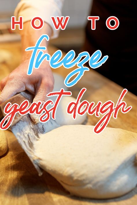 Freezing yeast bread dough is a method of preserving dough for later use. How To Freeze Homemade Bread Dough, Freezable Bread Dough Recipe, How To Make Bread Dough To Freeze, Can You Freeze Bread Dough, How To Freeze Bread Dough, Freeze Bread Dough, Freezer Dough, Freezing Bread Dough, Frozen Bread Dough Recipes