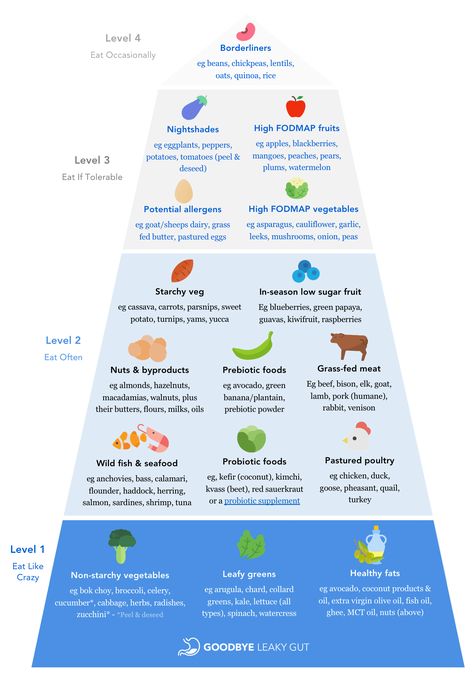 The Leaky Gut Diet - With My Food Pyramid + YES Foods List | Goodbye Leaky Gut Paleo Food Pyramid, Gut Diet, Leaky Gut Diet, High Fodmap Foods, Prebiotic Foods, Heal Leaky Gut, Gut Health Diet, Probiotic Foods, Food Pyramid