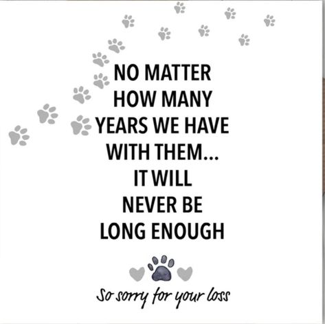 Sorry For The Loss Of Your Dog, Dog Sympathy Quotes, Good Luck Interview, Pet Sympathy Quotes, Dog Heaven Quotes, Get Well Messages, Dog Poems, Sympathy Greetings, Sympathy Messages