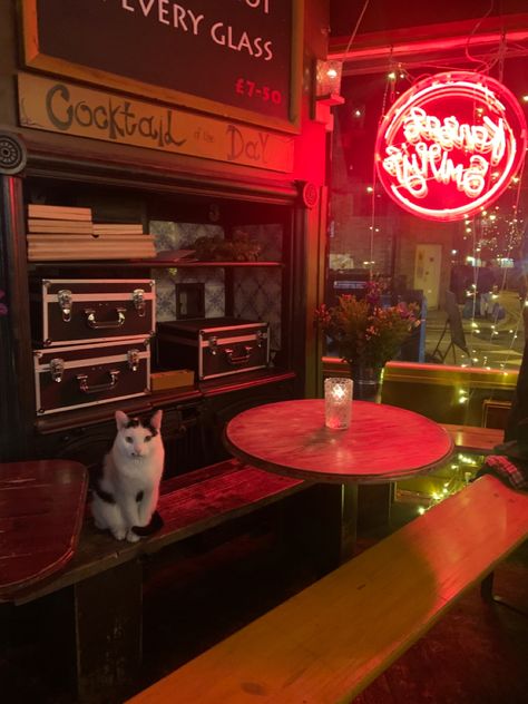 Bar cat in Broadway Market, Hackney, East London Best Cities, East London, Broadway, London, Bar, Glass