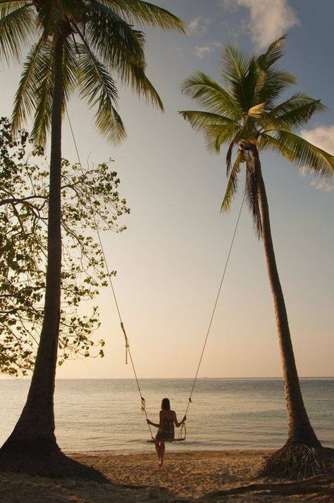 Girl on a swing tied to palm trees Tree Swing, Wallpaper Tumblr, Wallpaper Laptop, Vanuatu, Pattaya, 인물 사진, Scuba Diving, Affirmation Quotes, Beach Life