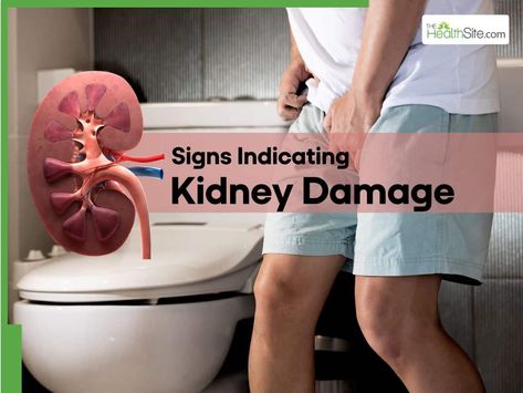 Kidney Damage Symptoms, Kidney Damage, Frequent Urination, Kidney Health, Herbs For Health, Health Awareness, At Night, Disease, Health And Wellness