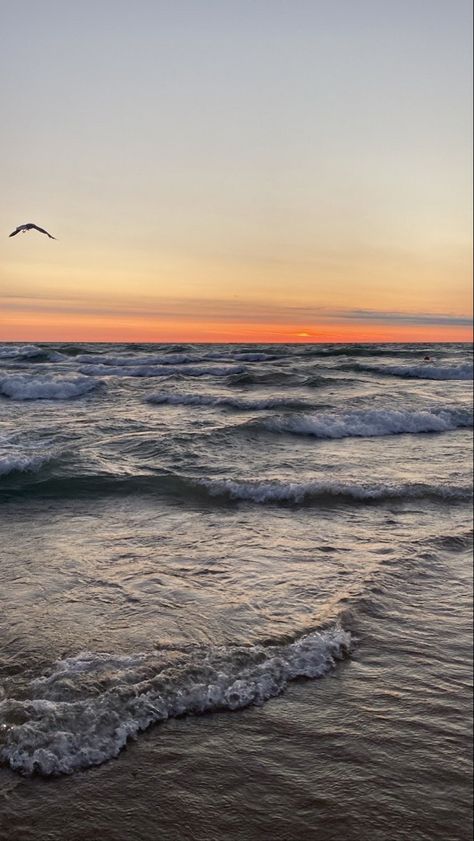 Michigan Beach Aesthetic, Chicago Beach Aesthetic, Chicago Lake, Chicago Beach, Chicago Aesthetic, Chicago Summer, Michigan Beaches, Lake Shore Drive, Beach Sunrise