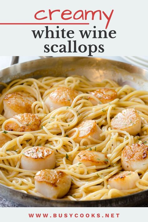 Creamy White Wine Scallops Pasta. Pasta With White Wine Sauce, Scallop Pasta Recipe, Scallops And Pasta, Scallops Pasta, Pasta With White Wine, Scallop Recipes Pasta, White Wine Pasta Sauce, Scallop Pasta, Seafood Dinner Recipes