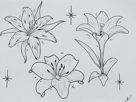 Lilly Art Flower, Day Lily Drawing, Day Lilly Tattoo, Daylily Drawing, Lilly Drawing, Lilly Flower Drawing, Lilly Flower Tattoo, Giant Painting, Lilly Tattoo